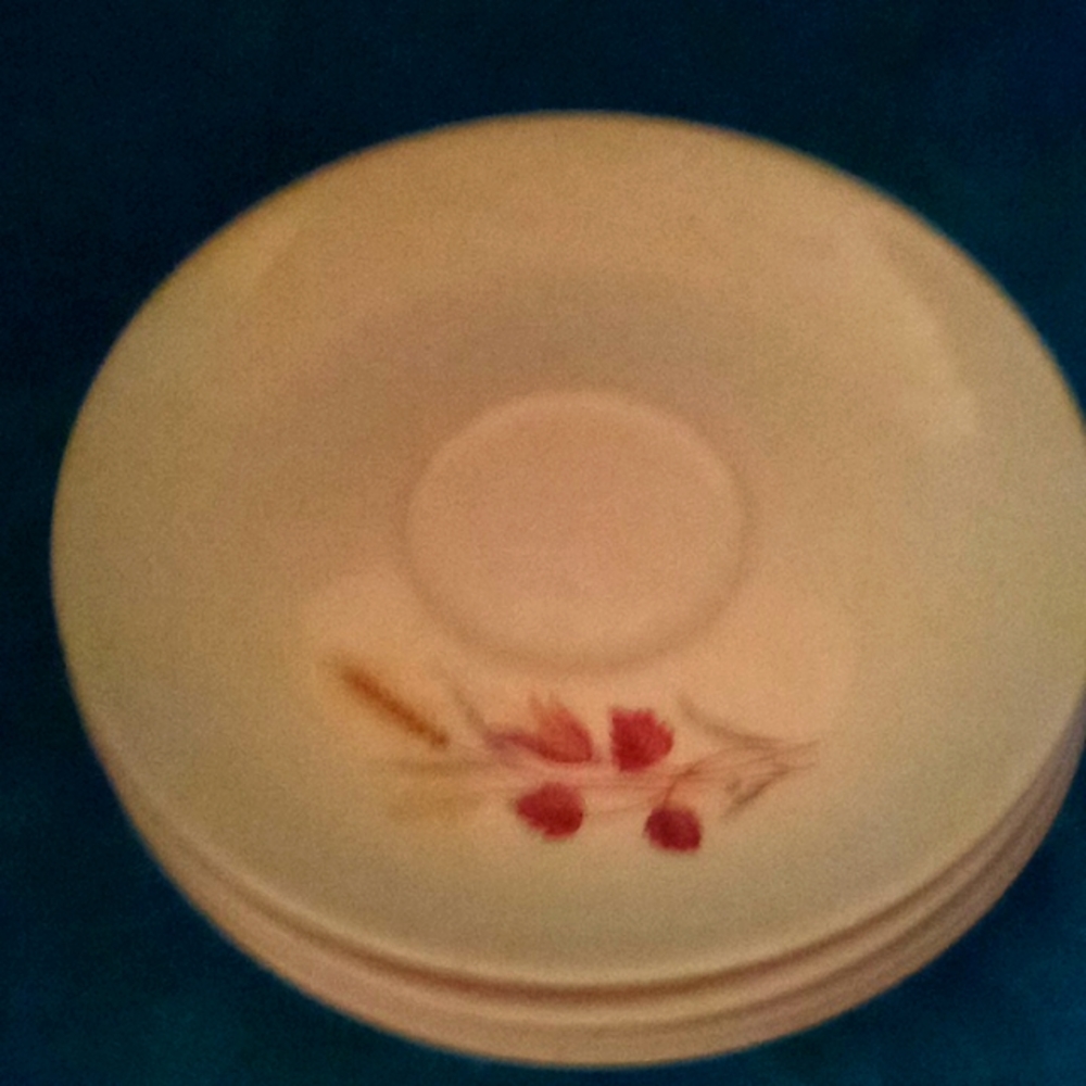 4 vintage autumn harvest saucers